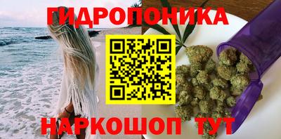 сатива Аргун